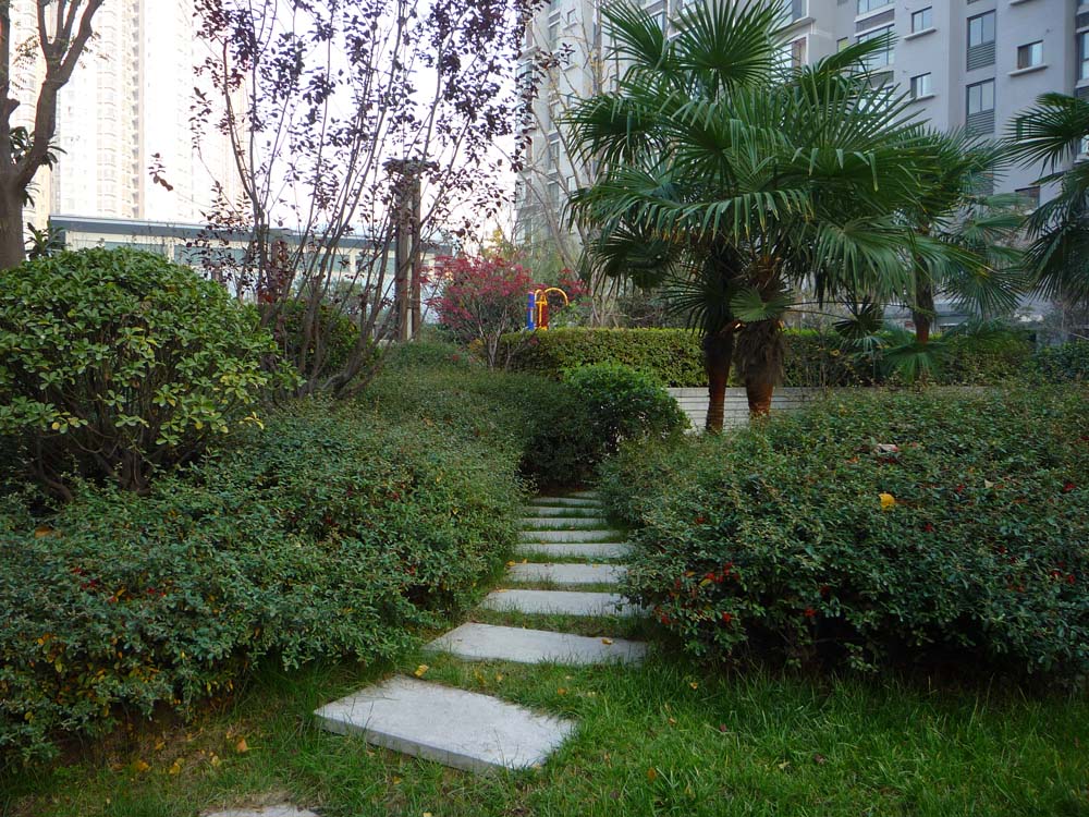 P1020478