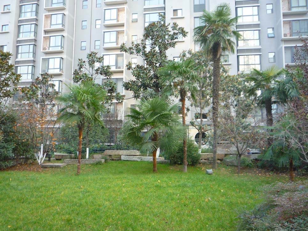 P1020478
